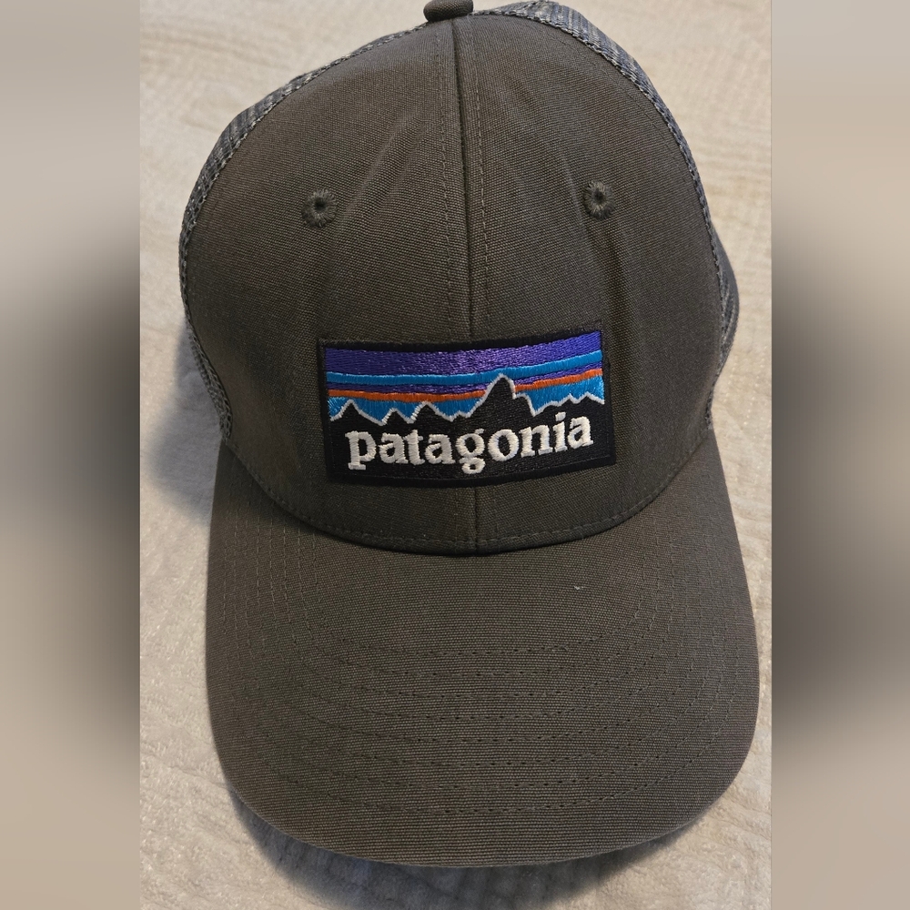 Patagonia Gray Snapback Hat